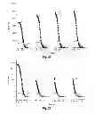 Fig. 14 - Vaccine adjuvants from self-assembling peptides