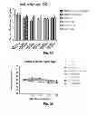 Fig. 19 - Vaccine adjuvants from self-assembling peptides