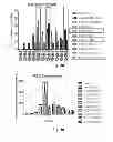 Fig. 24 - Vaccine adjuvants from self-assembling peptides
