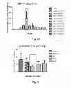 Fig. 25 - Vaccine adjuvants from self-assembling peptides
