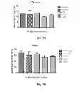 Fig. 27 - Vaccine adjuvants from self-assembling peptides