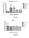 Fig. 28 - Vaccine adjuvants from self-assembling peptides