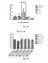 Fig. 29 - Vaccine adjuvants from self-assembling peptides