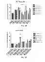 Fig. 30 - Vaccine adjuvants from self-assembling peptides