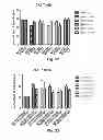 Fig. 31 - Vaccine adjuvants from self-assembling peptides