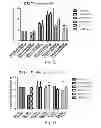 Fig. 33 - Vaccine adjuvants from self-assembling peptides