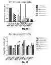 Fig. 34 - Vaccine adjuvants from self-assembling peptides