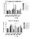 Fig. 37 - Vaccine adjuvants from self-assembling peptides