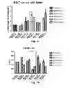 Fig. 41 - Vaccine adjuvants from self-assembling peptides