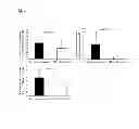 Fig. 04 - METHOD FOR PRODUCING MILK HAVING AN IMMUNOREGULATORY ACTION