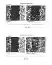 Fig. 29 - METHODS OF WOUND CARE AND TREATMENT