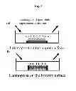 Fig. 06 - PHARMACEUTICAL PREPARATION