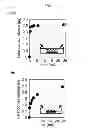 Fig. 07 - PHARMACEUTICAL PREPARATION