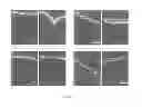 Fig. 08 - HYDROGEL FORMULATION FOR DERMAL AND OCULAR DELIVERY