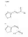 Fig. 02 - TIGHT JUNCTIONS MODULATORS