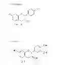 Fig. 06 - TIGHT JUNCTIONS MODULATORS