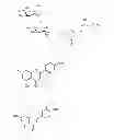Fig. 09 - TIGHT JUNCTIONS MODULATORS
