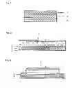 Fig. 02 - Buprenorphine transdermal therapeutic system and method of administering
