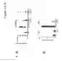 Fig. 04 - Oral therapy of necrotizing enterocolitis