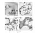 Fig. 22 - Modulators of HSP70/DnaK function and methods of use thereof