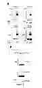 Fig. 27 - Modulators of HSP70/DnaK function and methods of use thereof