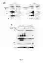 Fig. 31 - Modulators of HSP70/DnaK function and methods of use thereof