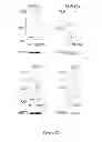 Fig. 32 - Modulators of HSP70/DnaK function and methods of use thereof