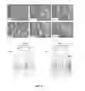 Fig. 33 - Modulators of HSP70/DnaK function and methods of use thereof