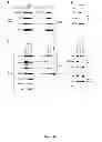 Fig. 40 - Modulators of HSP70/DnaK function and methods of use thereof