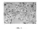 Fig. 02 - Method for producing encapsulated nanoparticles