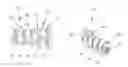 Fig. 01 - Process for producing a solid dispersion of an active ingredient
