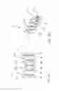 Fig. 06 - Process for producing a solid dispersion of an active ingredient