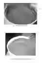 Fig. 02 - Room Temperature Vulcanisable Silicone Compositions