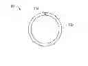 Fig. 01 - Large diameter thermoplastic seal