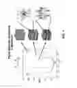Fig. 02 - Fabrication of complex three-dimensional structures based on directed assembly of self-assembling materials on activated two-dimensional templates