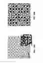 Fig. 13 - Fabrication of complex three-dimensional structures based on directed assembly of self-assembling materials on activated two-dimensional templates