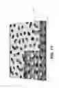Fig. 14 - Fabrication of complex three-dimensional structures based on directed assembly of self-assembling materials on activated two-dimensional templates