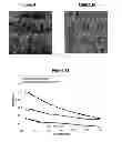 Fig. 07 - Method of transferring thin film