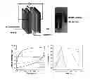 Fig. 01 - Conducting polymer/graphene-based material composites, and methods for preparing the composites