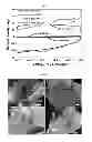 Fig. 03 - Conducting polymer/graphene-based material composites, and methods for preparing the composites