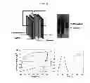 Fig. 07 - Conducting polymer/graphene-based material composites, and methods for preparing the composites