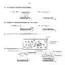 Fig. 09 - Surface treatment method for molded article, and molded article produced from material containing cyclic olefin resin