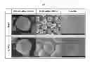 Fig. 02 - Lithium secondary battery