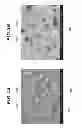 Fig. 04 - Solid oxide fuel cell