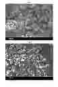 Fig. 02 - Particulate carbon catalyst including nitrogen and metal and method for producing the same