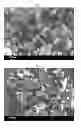 Fig. 07 - Particulate carbon catalyst including nitrogen and metal and method for producing the same