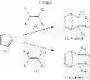 Fig. 04 - Maleimide containing cycloolefinic polymers and applications thereof