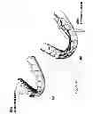 Fig. 08 - System and method for digital tooth imaging