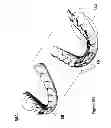 Fig. 09 - System and method for digital tooth imaging