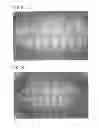 Fig. 06 - MULTILAYER MOUTHPIECE, MANUFACTURING METHOD AND MANUFACTURING DEVICE THEREOF